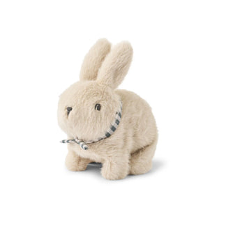Dev Rabbit Motorische Teddy