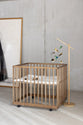 Box Mori Walnut - Quax