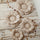 Bloem Kussen Decoratief – Naturel