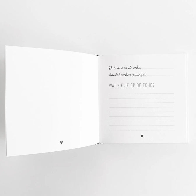Enceinte - Mon journal de 9 mois