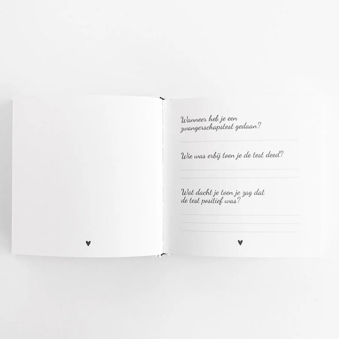 Enceinte - Mon journal de 9 mois