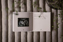 Enceinte - Mon journal de 9 mois