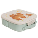 Lunchbox bento Bears and Stars - Petit Monkey