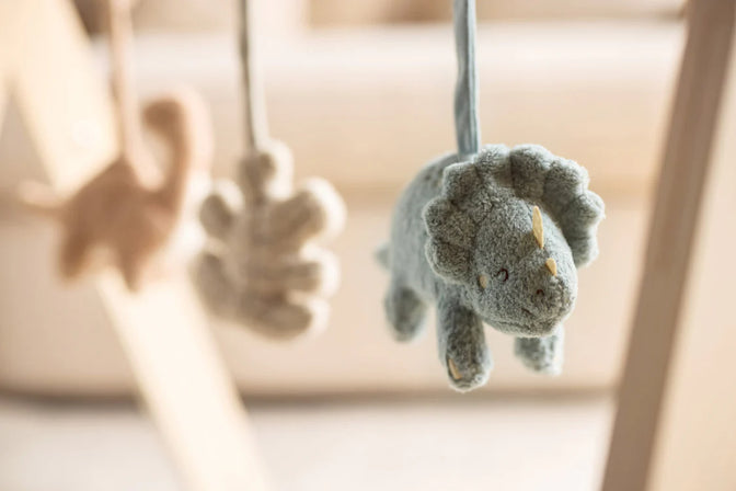 Babygym Speeltjes Roarsome - Jollein