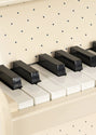 Piano - Teddy Beer