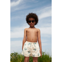 Aiden Printed Board Shorts Crab / Sandy