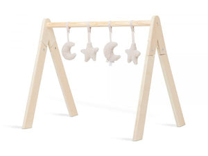 Babygym Speeltjes 