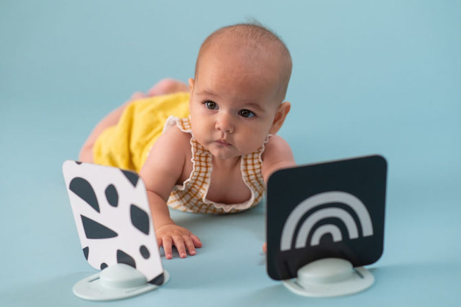 My First Tummy-Time Cards - Taf Toys