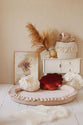 SPEELNEST SOFT VELVET BEIGE - Mimii