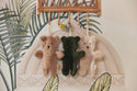Speendoekje "Teddy Bear Biscuit" - JOLLEIN
