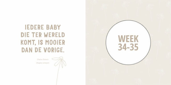 Mijn negen maanden babyboek