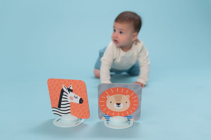 My First Tummy-Time Cards - Taf Toys