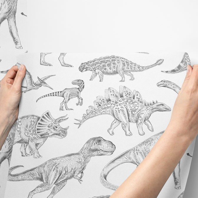 Dinosaurs Behang