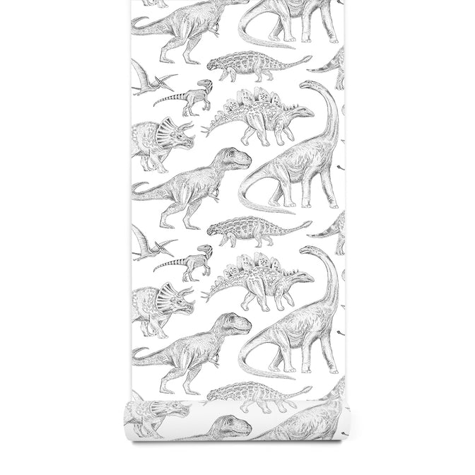 Dinosaurs Behang
